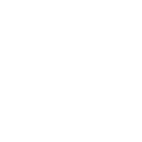 Logo OptimizeTransport noir